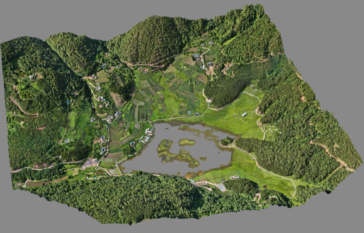 image6.png